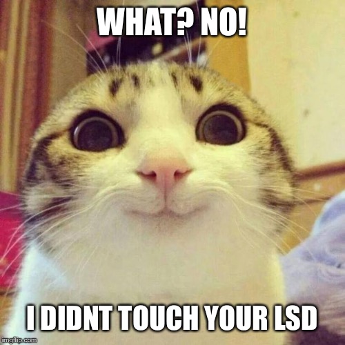 Smiling Cat Meme | WHAT? NO! I DIDNT TOUCH YOUR LSD | image tagged in memes,smiling cat | made w/ Imgflip meme maker