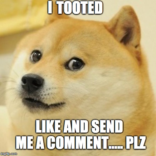 Doge | I; TOOTED; LIKE AND SEND ME A COMMENT…..
PLZ | image tagged in memes,doge | made w/ Imgflip meme maker