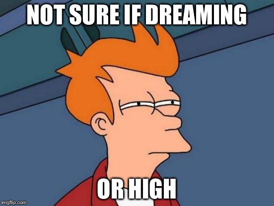 Futurama Fry | NOT SURE IF DREAMING; OR HIGH | image tagged in memes,futurama fry | made w/ Imgflip meme maker