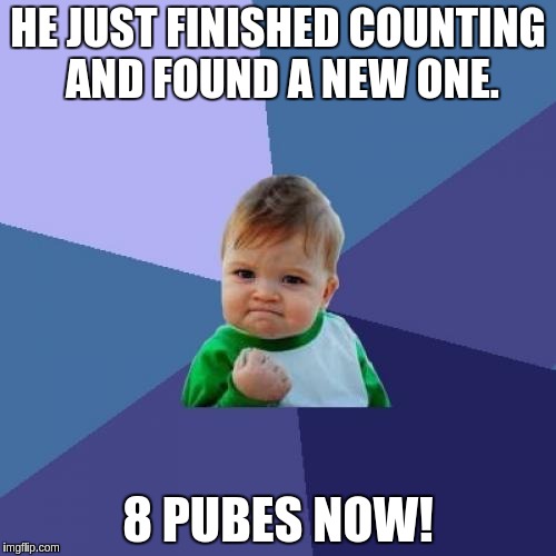 Success Kid Meme | HE JUST FINISHED COUNTING AND FOUND A NEW ONE. 8 PUBES NOW! | image tagged in memes,success kid,AdviceAnimals | made w/ Imgflip meme maker