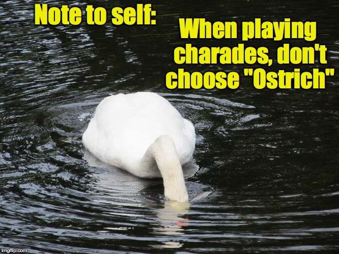 At least, not in the water | Note to self:; When playing charades, don't choose "Ostrich" | image tagged in memes,swan | made w/ Imgflip meme maker