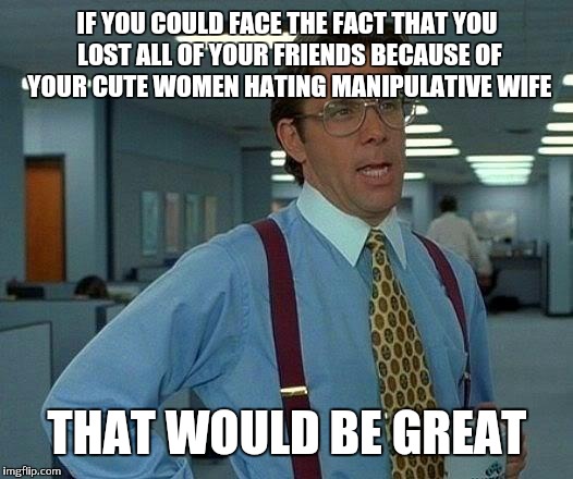 That Would Be Great | IF YOU COULD FACE THE FACT THAT YOU LOST ALL OF YOUR FRIENDS BECAUSE OF YOUR CUTE WOMEN HATING MANIPULATIVE WIFE; THAT WOULD BE GREAT | image tagged in memes,that would be great | made w/ Imgflip meme maker