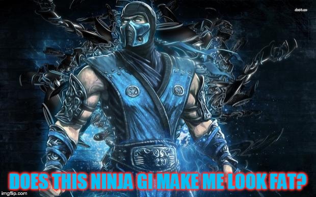 Mortal Kombat Sub-Zero | DOES THIS NINJA GI MAKE ME LOOK FAT? | image tagged in mortal kombat sub-zero | made w/ Imgflip meme maker