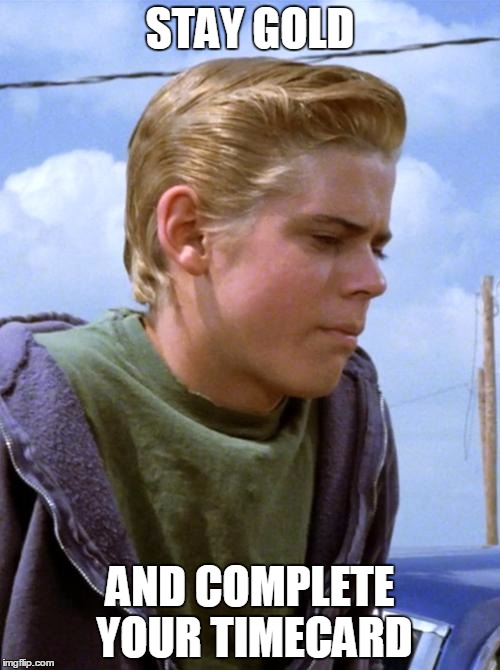 Ponyboy | STAY GOLD; AND COMPLETE YOUR TIMECARD | image tagged in ponyboy | made w/ Imgflip meme maker