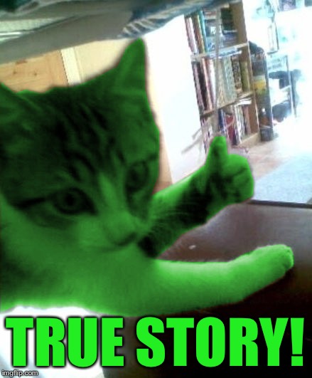 thumbs up RayCat | TRUE STORY! | image tagged in thumbs up raycat | made w/ Imgflip meme maker