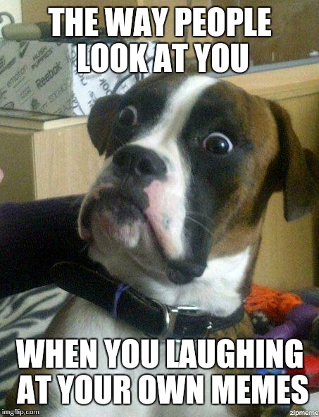 Funny Dog | THE WAY PEOPLE LOOK AT YOU; WHEN YOU LAUGHING AT YOUR OWN MEMES | image tagged in funny dog | made w/ Imgflip meme maker