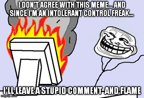 I DON'T AGREE WITH THIS MEME... AND SINCE I'M AN INTOLERANT CONTROL FREAK... I'LL LEAVE A STUPID COMMENT  AND FLAME | made w/ Imgflip meme maker