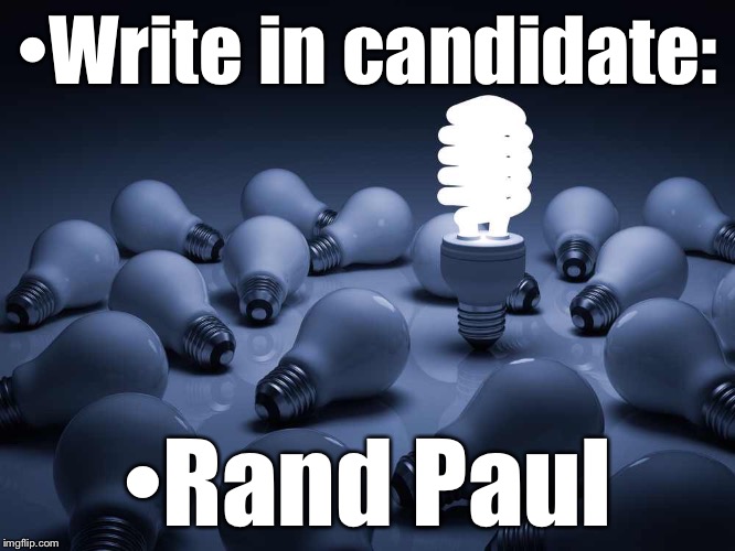 Check this box when you vote if you don't like the other candidates! | •Write in candidate: •Rand Paul | image tagged in the truth | made w/ Imgflip meme maker