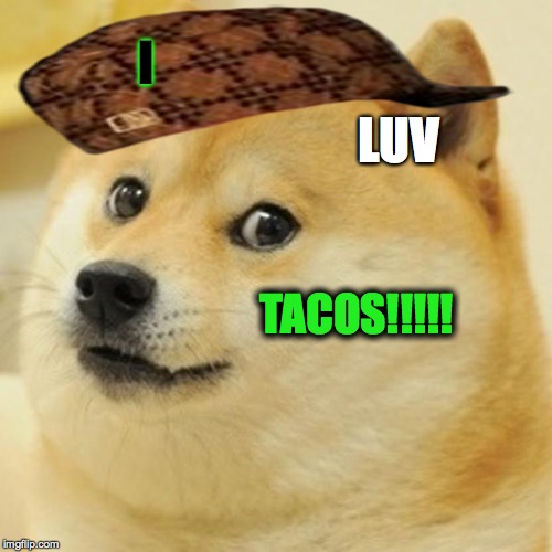 Doge | I; LUV; TACOS!!!!! | image tagged in memes,doge,scumbag | made w/ Imgflip meme maker