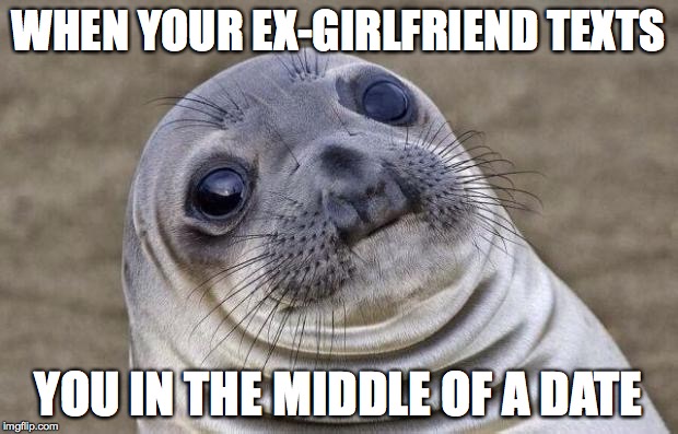 Awkward Moment Sealion Meme | WHEN YOUR EX-GIRLFRIEND TEXTS; YOU IN THE MIDDLE OF A DATE | image tagged in memes,awkward moment sealion | made w/ Imgflip meme maker