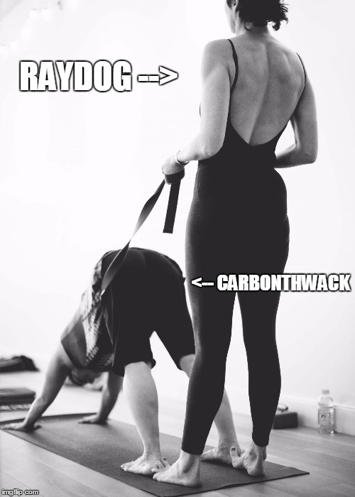 yoga instructor | RAYDOG --> <-- CARBONTHWACK | image tagged in yoga instructor | made w/ Imgflip meme maker