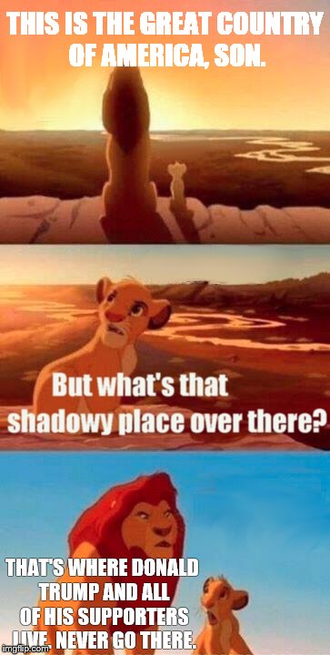 Donald Trump Shadowy Place | THIS IS THE GREAT COUNTRY OF AMERICA, SON. THAT'S WHERE DONALD TRUMP AND ALL OF HIS SUPPORTERS LIVE. NEVER GO THERE. | image tagged in memes,simba shadowy place,inferno390,donald trump | made w/ Imgflip meme maker