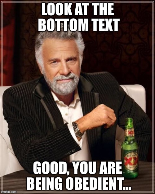 The Most Interesting Man In The World Meme | LOOK AT THE BOTTOM TEXT GOOD, YOU ARE BEING OBEDIENT... | image tagged in memes,the most interesting man in the world | made w/ Imgflip meme maker