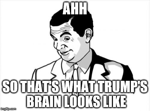 If You Know What I Mean Bean Meme | AHH; SO THAT'S WHAT TRUMP'S BRAIN LOOKS LIKE | image tagged in memes,if you know what i mean bean | made w/ Imgflip meme maker
