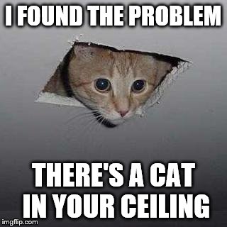 Ceiling Cat | I FOUND THE PROBLEM; THERE'S A CAT IN YOUR CEILING | image tagged in memes,ceiling cat | made w/ Imgflip meme maker