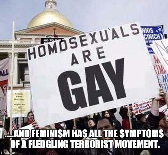 state the obvious guy | .....AND FEMINISM HAS ALL THE SYMPTOMS OF A FLEDGLING TERRORIST MOVEMENT. | image tagged in state the obvious guy | made w/ Imgflip meme maker