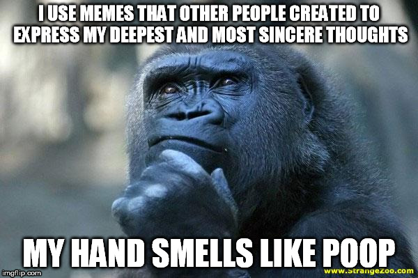 Deep Thoughts | I USE MEMES THAT OTHER PEOPLE CREATED TO EXPRESS MY DEEPEST AND MOST SINCERE THOUGHTS; MY HAND SMELLS LIKE POOP | image tagged in deep thoughts | made w/ Imgflip meme maker