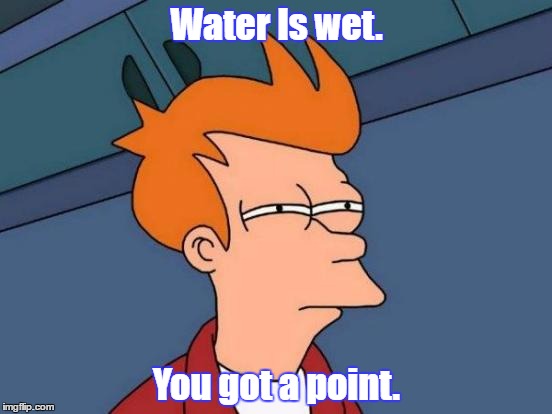 Futurama Fry | Water Is wet. You got a point. | image tagged in memes,futurama fry | made w/ Imgflip meme maker