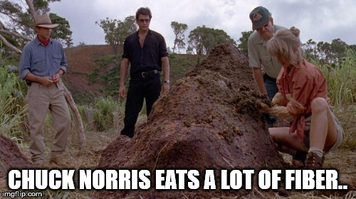 big load | CHUCK NORRIS EATS A LOT OF FIBER.. | image tagged in norris | made w/ Imgflip meme maker