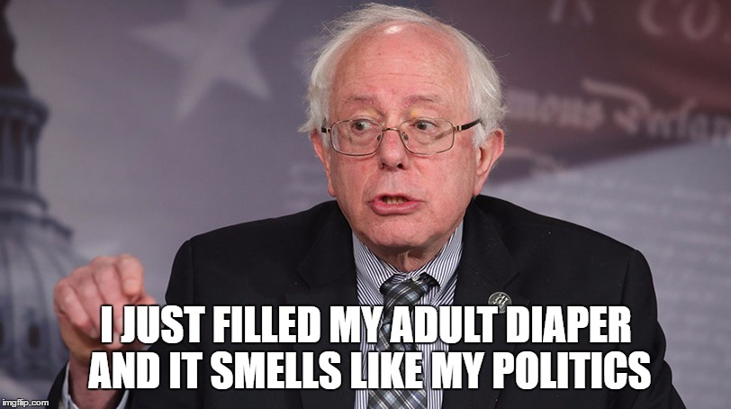 This is not the face of the future | I JUST FILLED MY ADULT DIAPER AND IT SMELLS LIKE MY POLITICS | image tagged in memes | made w/ Imgflip meme maker