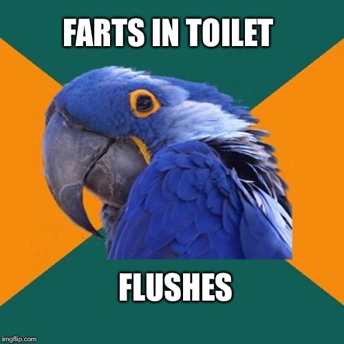 I just thought of this after it happened | FARTS IN TOILET; FLUSHES | image tagged in memes,paranoid parrot | made w/ Imgflip meme maker