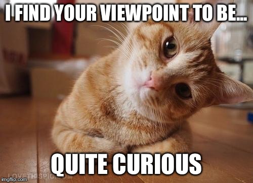 Curious Question Cat |  I FIND YOUR VIEWPOINT TO BE... QUITE CURIOUS | image tagged in curious question cat | made w/ Imgflip meme maker