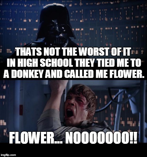 Star Wars No Meme | THATS NOT THE WORST OF IT IN HIGH SCHOOL THEY TIED ME TO A DONKEY AND CALLED ME FLOWER. FLOWER... NOOOOOOO!! | image tagged in memes,star wars no | made w/ Imgflip meme maker