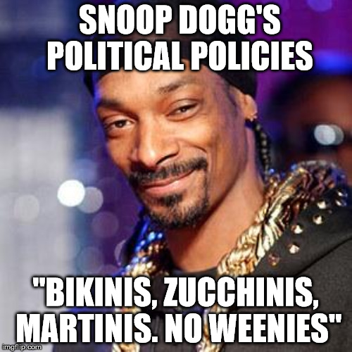 Snoop 2016 | SNOOP DOGG'S POLITICAL POLICIES "BIKINIS, ZUCCHINIS, MARTINIS. NO WEENIES" | image tagged in snoop | made w/ Imgflip meme maker