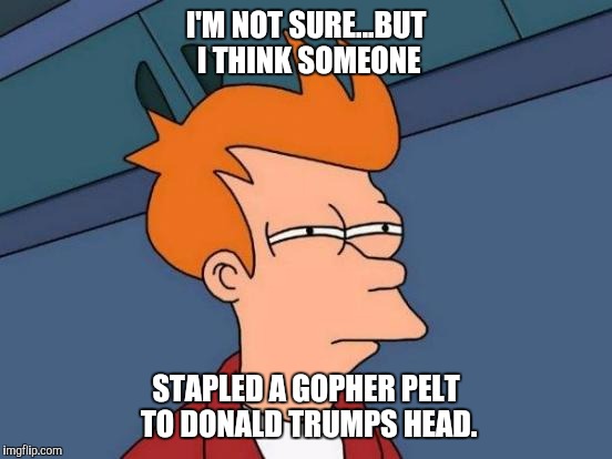 Futurama Fry | I'M NOT SURE...BUT I THINK SOMEONE; STAPLED A GOPHER PELT TO DONALD TRUMPS HEAD. | image tagged in memes,futurama fry | made w/ Imgflip meme maker