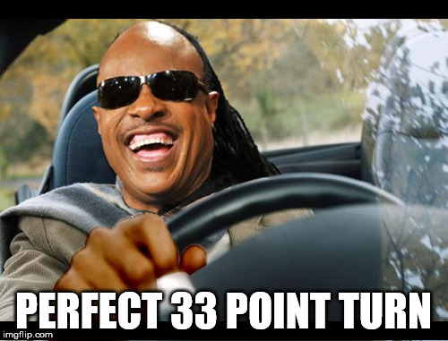 wander | PERFECT 33 POINT TURN | image tagged in stevie | made w/ Imgflip meme maker