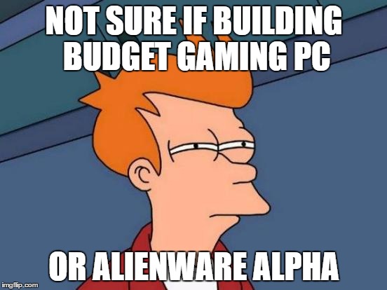 Futurama Fry | NOT SURE IF BUILDING BUDGET GAMING PC; OR ALIENWARE ALPHA | image tagged in memes,futurama fry | made w/ Imgflip meme maker