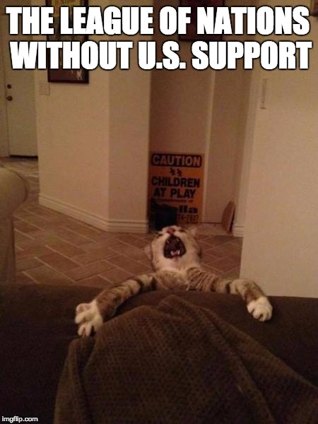 Falling Cat | THE LEAGUE OF NATIONS WITHOUT U.S. SUPPORT | image tagged in falling cat | made w/ Imgflip meme maker