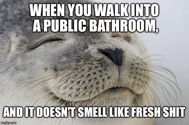 Satisfied Seal | WHEN YOU WALK INTO A PUBLIC BATHROOM, AND IT DOESN'T SMELL LIKE FRESH SHIT | image tagged in memes,satisfied seal | made w/ Imgflip meme maker