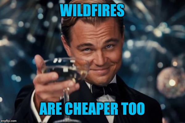 Leonardo Dicaprio Cheers Meme | WILDFIRES ARE CHEAPER TOO | image tagged in memes,leonardo dicaprio cheers | made w/ Imgflip meme maker