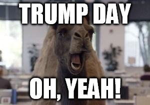Hump Day Camel | TRUMP DAY; OH, YEAH! | image tagged in hump day camel | made w/ Imgflip meme maker