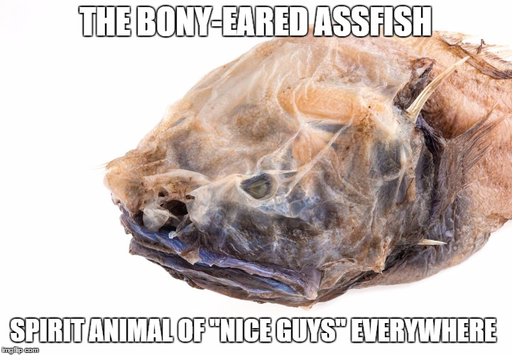 bony-eared assfish | THE BONY-EARED ASSFISH; SPIRIT ANIMAL OF "NICE GUYS" EVERYWHERE | image tagged in bony-eared assfish,nature,the nice guy | made w/ Imgflip meme maker