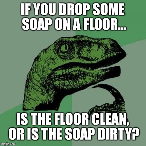 Philosoraptor | IF YOU DROP SOME SOAP ON A FLOOR... IS THE FLOOR CLEAN, OR IS THE SOAP DIRTY? | image tagged in memes,philosoraptor | made w/ Imgflip meme maker