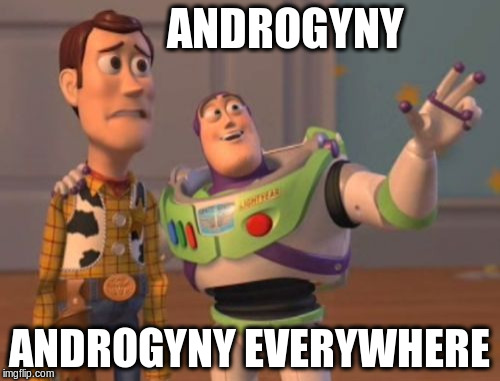 X, X Everywhere Meme | ANDROGYNY; ANDROGYNY EVERYWHERE | image tagged in memes,x x everywhere | made w/ Imgflip meme maker