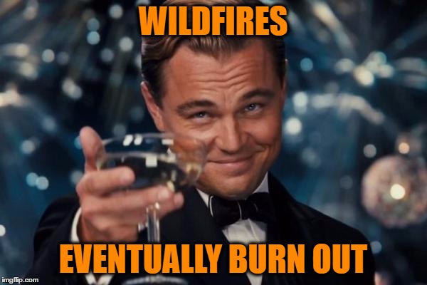 Leonardo Dicaprio Cheers Meme | WILDFIRES EVENTUALLY BURN OUT | image tagged in memes,leonardo dicaprio cheers | made w/ Imgflip meme maker