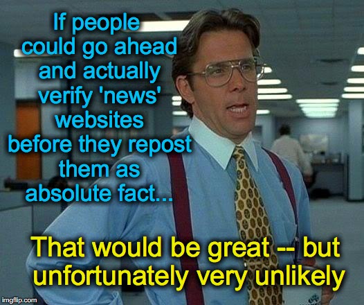 That Would Be Great | If people could go ahead and actually verify 'news' websites before they repost them as absolute fact... That would be great -- but unfortunately very unlikely | image tagged in memes,that would be great | made w/ Imgflip meme maker