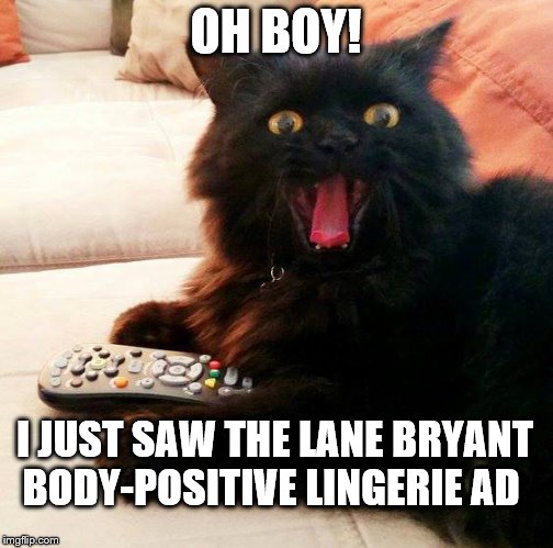OH BOY! Cat: Saw the Lane Bryant TV Ad |  OH BOY! I JUST SAW THE LANE BRYANT BODY-POSITIVE LINGERIE AD | image tagged in oh boy cat,meme,lane bryant,body,ad,positive | made w/ Imgflip meme maker