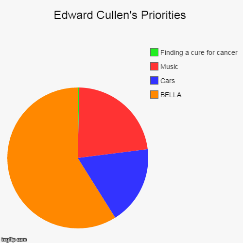 Of All The Things He Can Focus On.... | image tagged in funny,pie charts | made w/ Imgflip chart maker