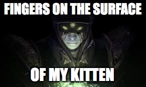 FINGERS ON THE SURFACE; OF MY KITTEN | image tagged in eris | made w/ Imgflip meme maker