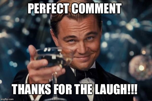 Leonardo Dicaprio Cheers Meme | PERFECT COMMENT THANKS FOR THE LAUGH!!! | image tagged in memes,leonardo dicaprio cheers | made w/ Imgflip meme maker