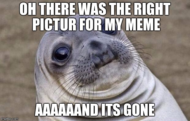 Awkward Moment Sealion | OH THERE WAS THE RIGHT PICTUR FOR MY MEME; AAAAAAND ITS GONE | image tagged in memes,awkward moment sealion | made w/ Imgflip meme maker