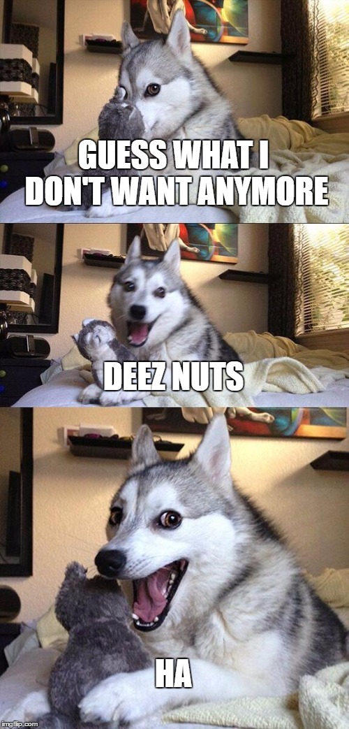 Deez nuts | GUESS WHAT I DON'T WANT ANYMORE; DEEZ NUTS; HA | image tagged in memes,bad pun dog | made w/ Imgflip meme maker