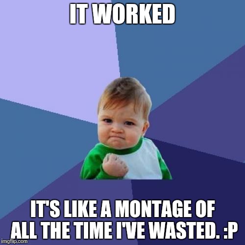 Success Kid Meme | IT WORKED IT'S LIKE A MONTAGE OF ALL THE TIME I'VE WASTED. :P | image tagged in memes,success kid | made w/ Imgflip meme maker