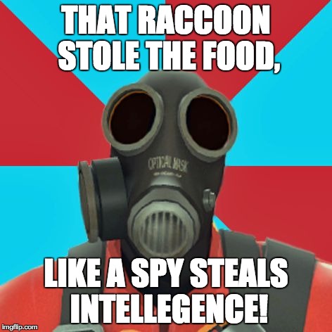 Paranoid Pyro | THAT RACCOON STOLE THE FOOD, LIKE A SPY STEALS INTELLEGENCE! | image tagged in paranoid pyro | made w/ Imgflip meme maker