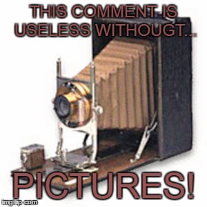 useless without pictures  | THIS COMMENT IS USELESS WITHOUGT... PICTURES! | image tagged in pictures,useless,camera,facebook | made w/ Imgflip meme maker