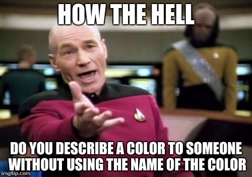 Picard Wtf Meme | HOW THE HELL; DO YOU DESCRIBE A COLOR TO SOMEONE WITHOUT USING THE NAME OF THE COLOR | image tagged in memes,picard wtf | made w/ Imgflip meme maker